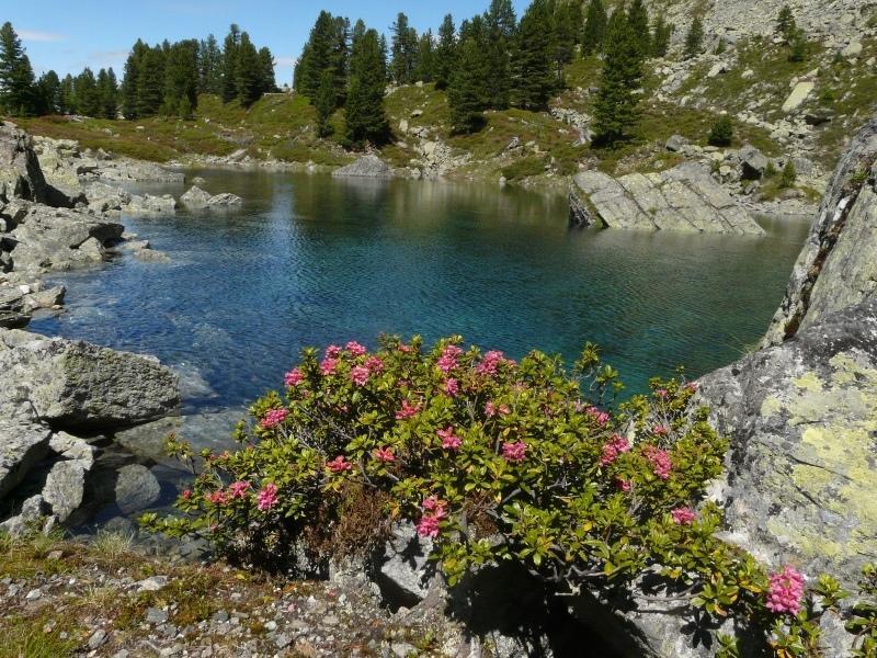 Pension Schoepf Arzl im Pitztal Esterno foto